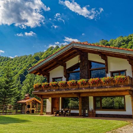Zărneşti Avalanche Plaiul Foii 빌라 외부 사진