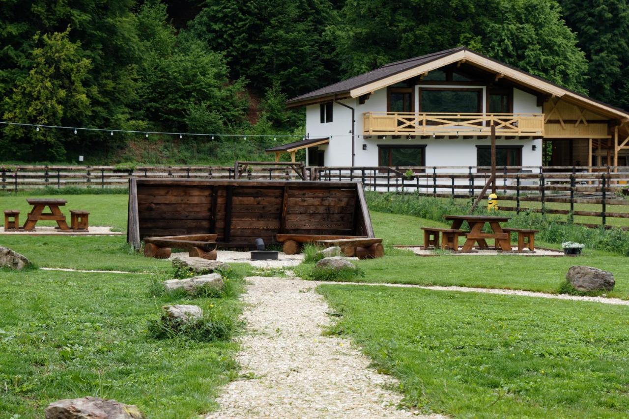Zărneşti Avalanche Plaiul Foii 빌라 외부 사진